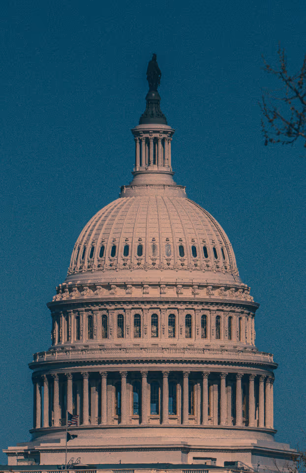 A close vertical view of the United States Capitol dome in soft spring light