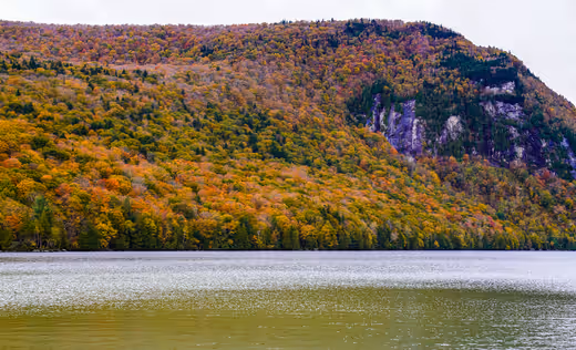 Autumn's Reflection