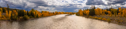 Snake River flowing between golden autumn trees beneath layered clouds