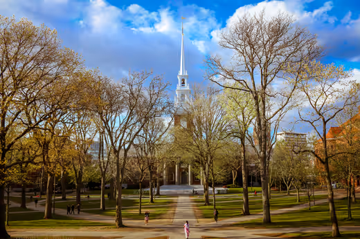 Sunny Day at Harvard