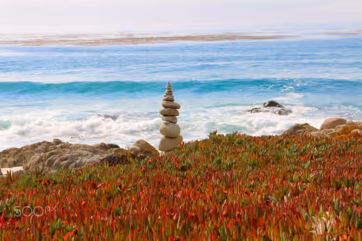 Pebble House on Pebble Beach