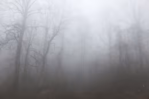 Misty Monsters
